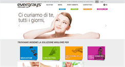 Desktop Screenshot of everyrays.com